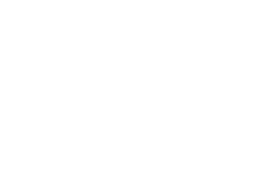 Fischer Group