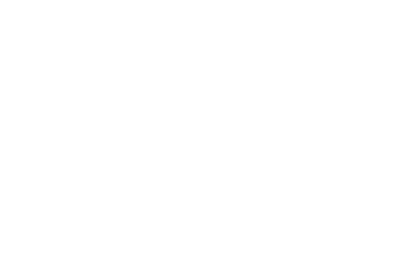 Schwarzwald Eisen