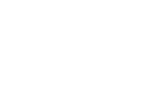 Baron von Maydell