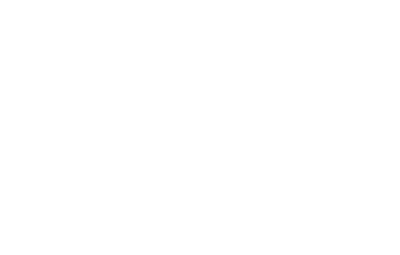 WIBO